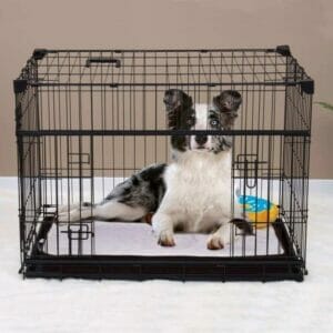 lucky dog bench zwart 36'' 92x61x69