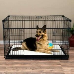 lucky dog bench zwart 48'' 122x76x84