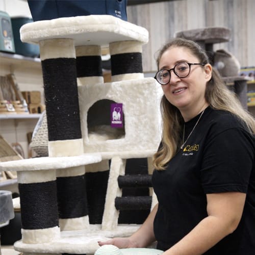 Amalia eigenaarkopie