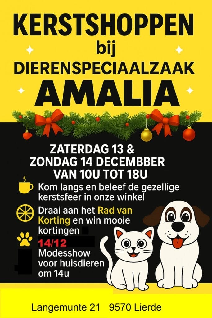kerstshoppen 2025